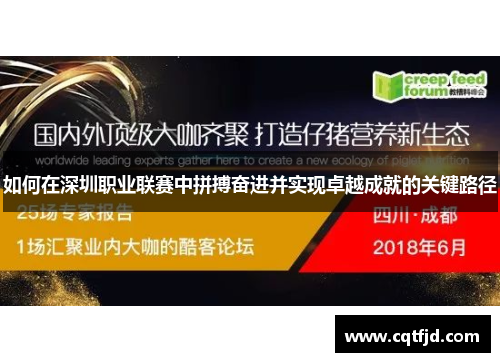 如何在深圳职业联赛中拼搏奋进并实现卓越成就的关键路径 如何在深圳职业联赛中拼搏奋进并实现卓越成就的关键路径