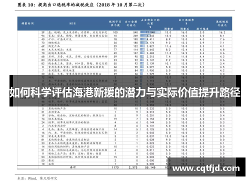 如何科学评估海港新援的潜力与实际价值提升路径 如何科学评估海港新援的潜力与实际价值提升路径
