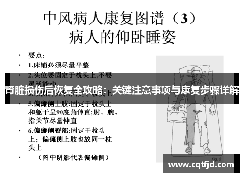 肾脏损伤后恢复全攻略:关键注意事项与康复步骤详解 肾脏损伤后恢复全攻略:关键注意事项与康复步骤详解