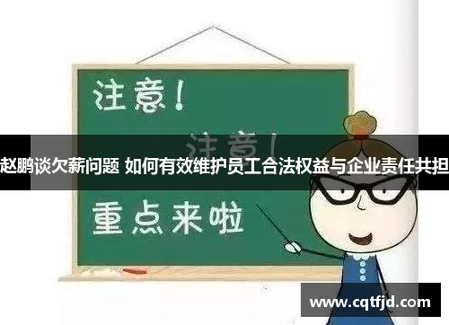 赵鹏谈欠薪问题 如何有效维护员工合法权益与企业责任共担